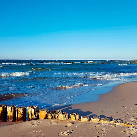 Sanddorn, Strandhafer דירה *