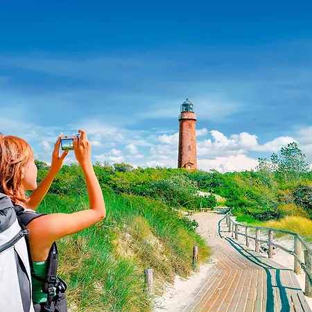 Sanddorn, Strandhafer Prerow